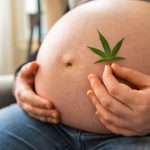 cannabis pendant la grossesse