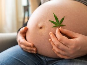 cannabis pendant la grossesse