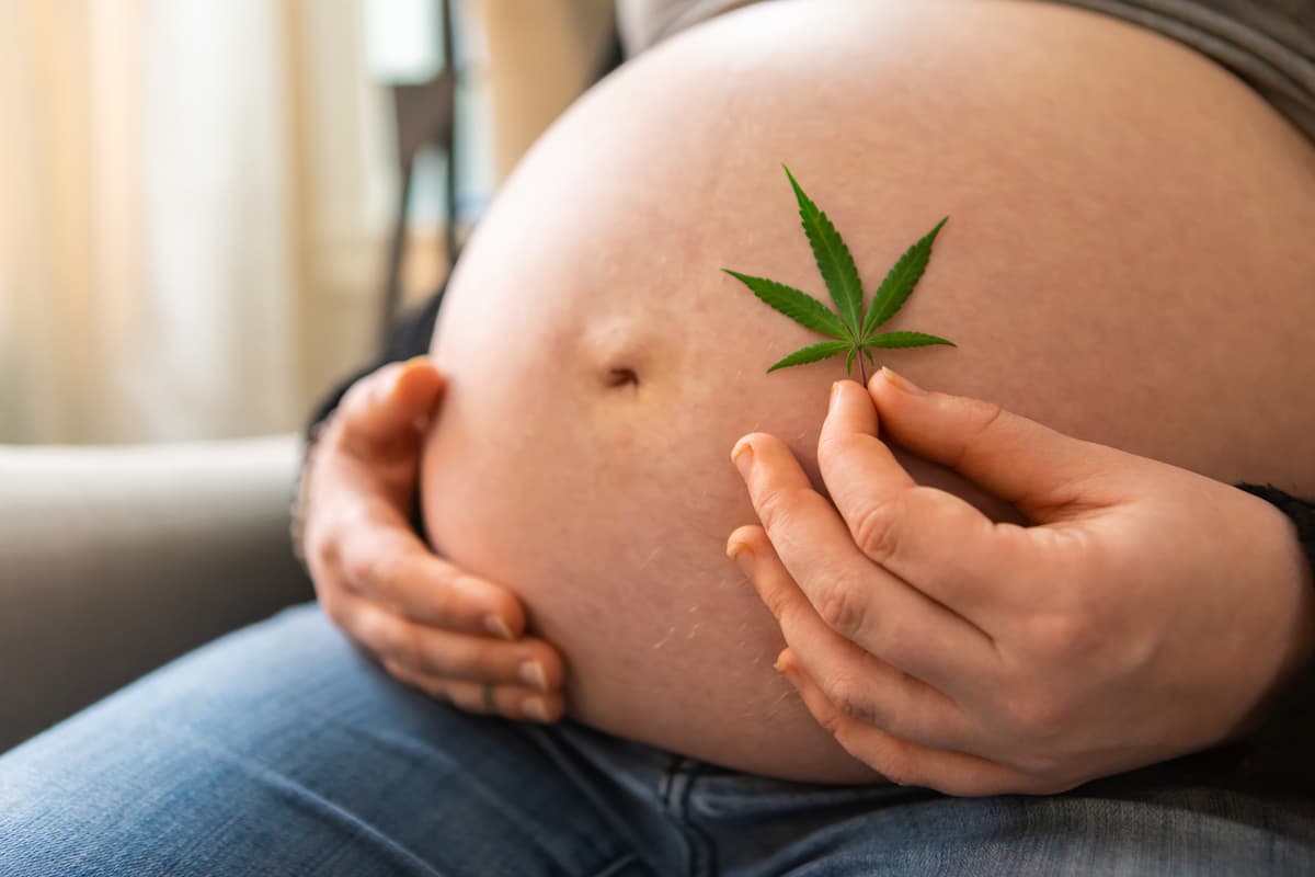 cannabis pendant la grossesse